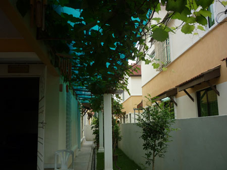 angguar_sajap (14)
