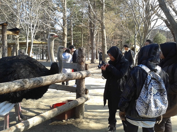 %_tempFileNamesajadstudio_2016_korea%20(85)%