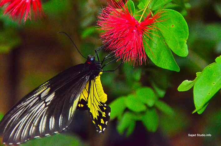 %_tempFileNamerama-rama%2012%